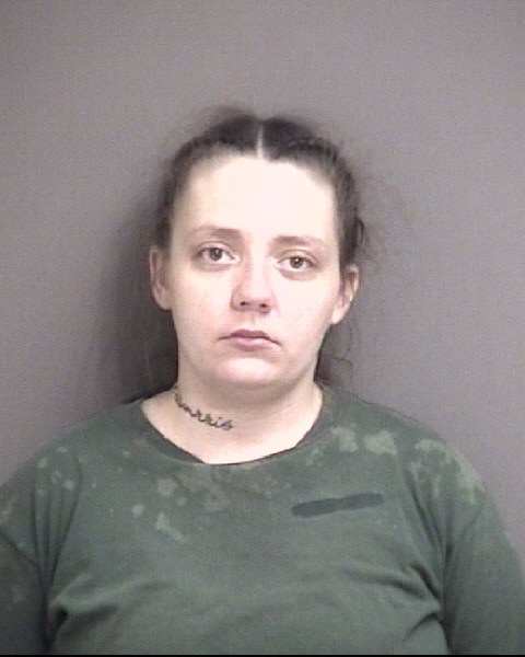 Mugshot of ANDERSON, KAELEE LYNN  