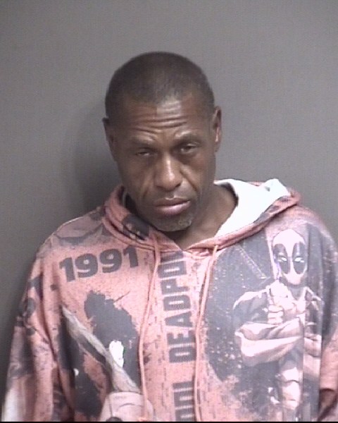 Mugshot of PALMER, BRANDON DEWAYNE