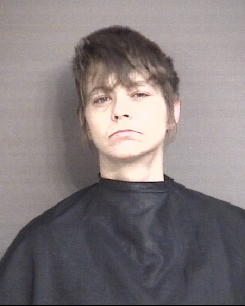 Mugshot of DAVIS, RAQUEL ELIZABETH