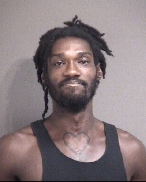 Mugshot of BUCHANAN, DEANDRA MEKEL        JR JR