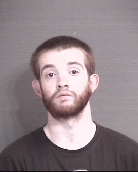 Mugshot of WOODS, DANIEL MICHAEL WAYNE