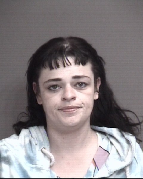 Mugshot of HULETT, HAYLEY MARIE