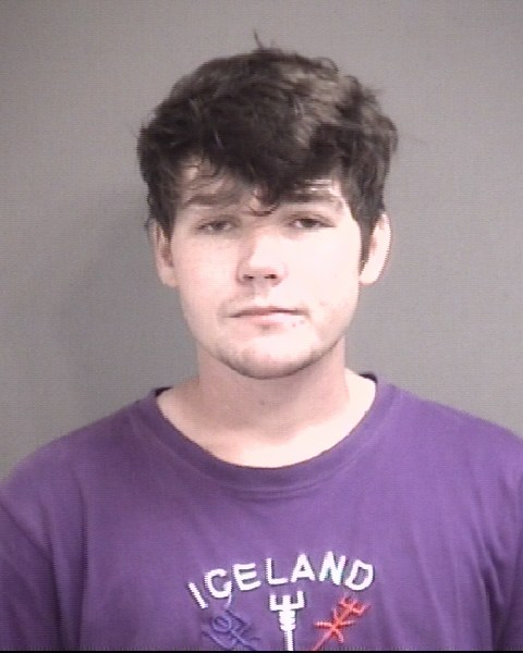 Mugshot of LINK, LANDON THEODORE