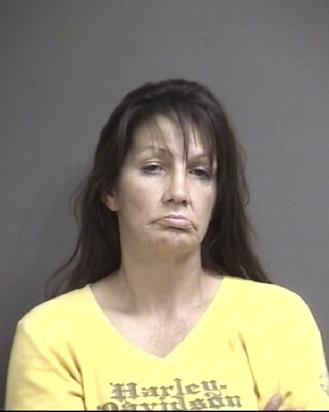 Mugshot of PHILLIPS, BRANDY RENEE