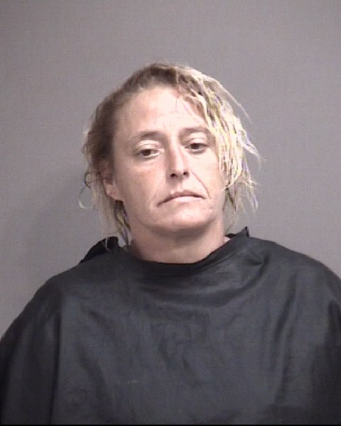 Mugshot of CAMDEN, MICHELLE LEIGH