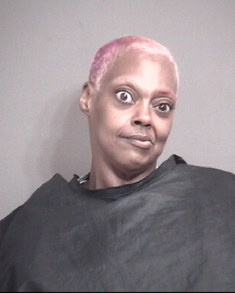 Mugshot of MITCHELL, RONDA LYNN