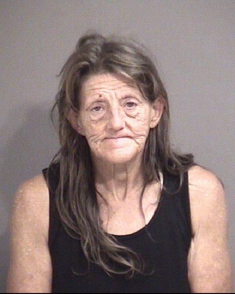 Mugshot of DONASON, DAYLENE RENEE