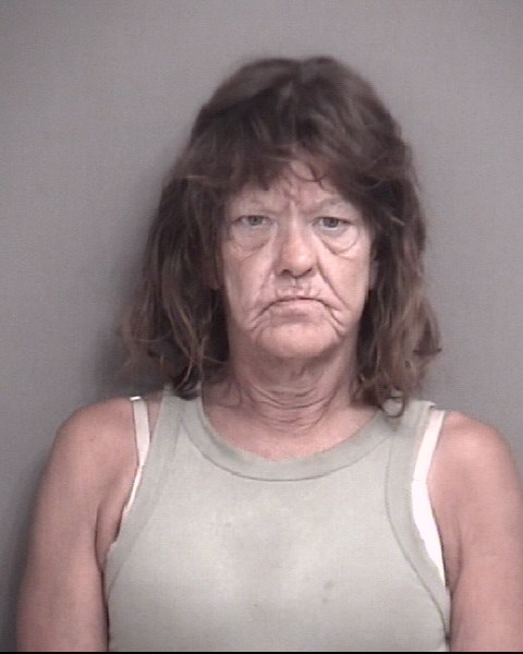 Mugshot of CRAIN, SHARON KAY