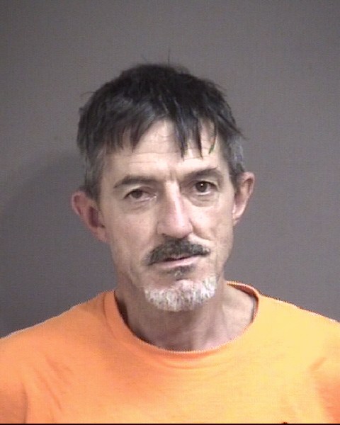 Mugshot of TULLOUS, TRACY LANE