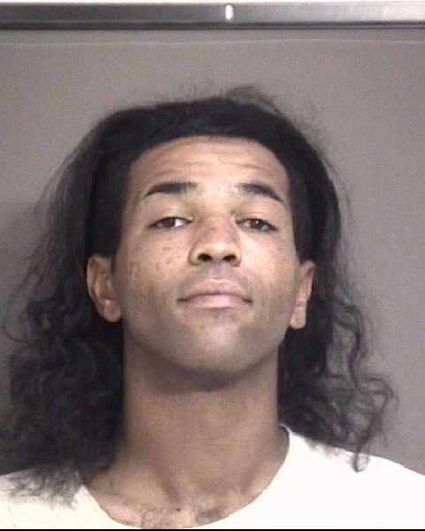 Mugshot of HARVEY, NIKOLAUS LOGAN