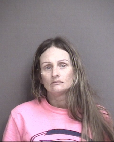 Mugshot of PARTNOY, SAMANTHA ALICE