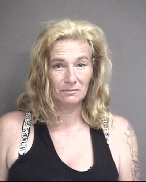 Mugshot of WYATT, CHASITY LYNN