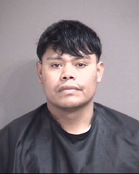 Mugshot of VICTORIA, NELSON DEE-LEON