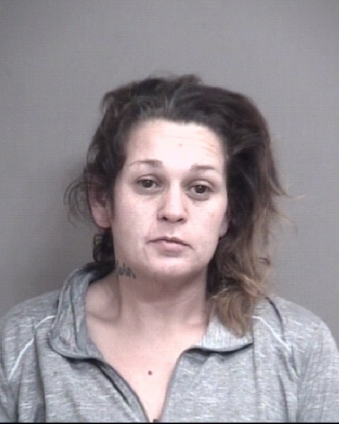 Mugshot of PAGE, MAHANA LYNNE