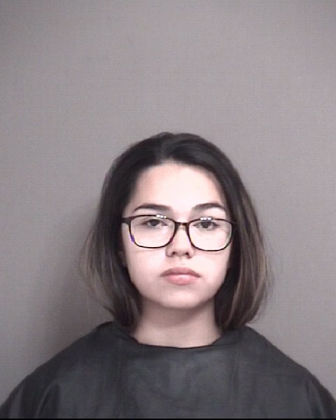 Mugshot of VARGAS, JASMINE DAWN