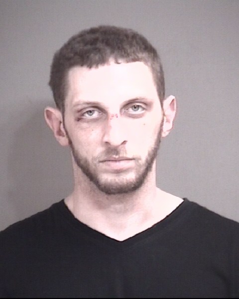 Mugshot of WOLTKAMP LINZIE, DEJON MICHA