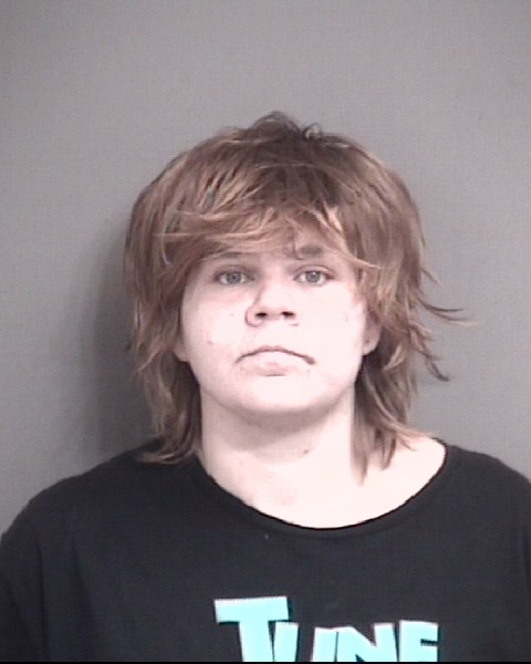 Mugshot of FANK, BEVERLY MARIE