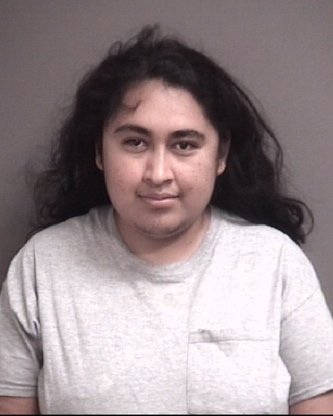 Mugshot of HERRERA, REBECA