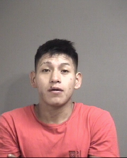 Mugshot of HUMBERTO, MATEO A
