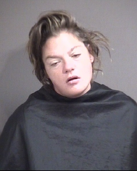 Mugshot of CHANDLER, PATRICIA DAWN