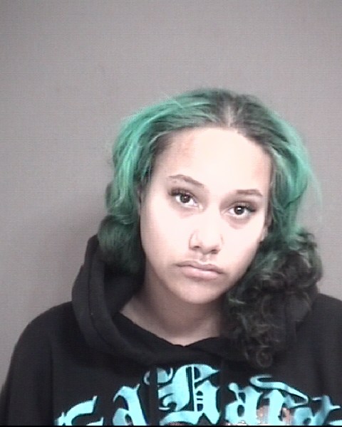 Mugshot of PRUITT, JACQUELYNN ELIZABETH