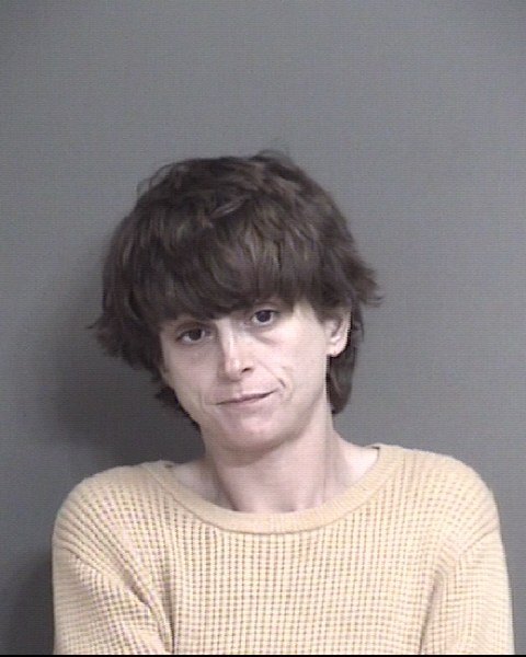 Mugshot of WATTS, DANIELLE LEE