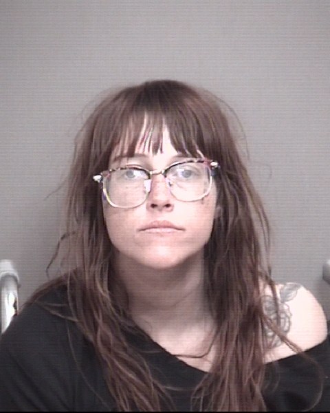 Mugshot of ARRINGTON, HOLLY DALE