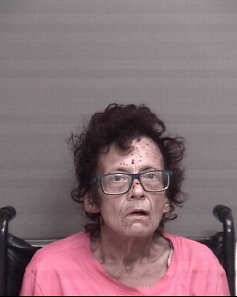 Mugshot of BILLUPS, GINGER LYNN