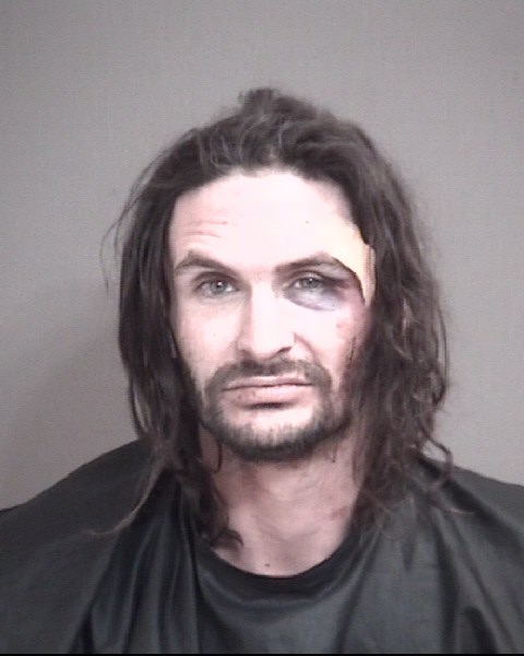 Mugshot of WORKMAN, LEVI BRIGGS